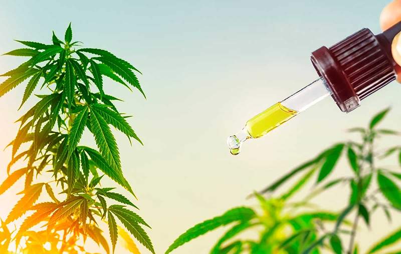 What is CBD? How do you take? What are the benefits of CBD?