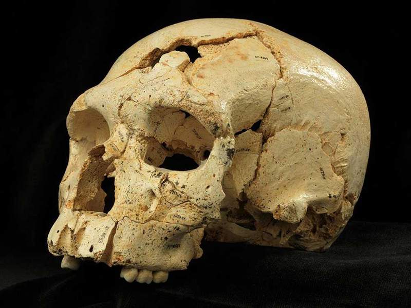 Prvo ubojstvo ljudske povijesti Sima de los Bone (Atapuerca)