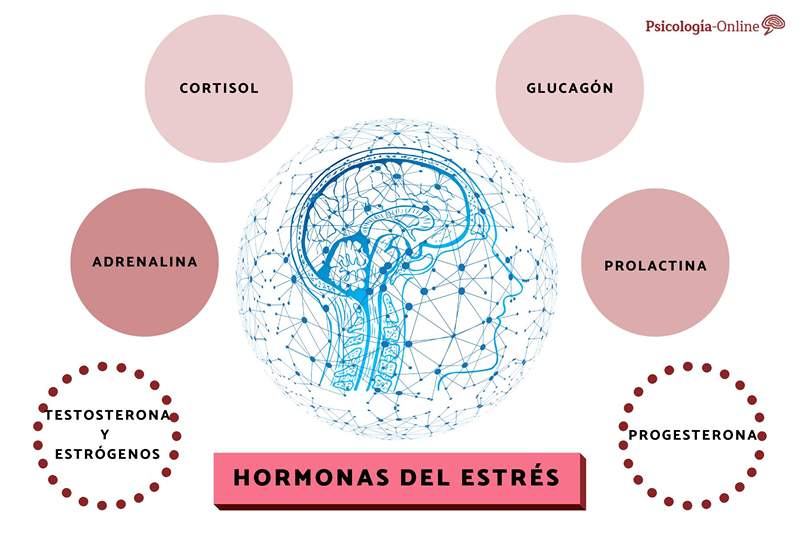 Apakah hormon tekanan dan bagaimana mengurangkannya