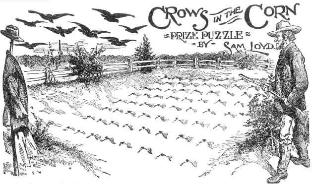Crows in El Maizal