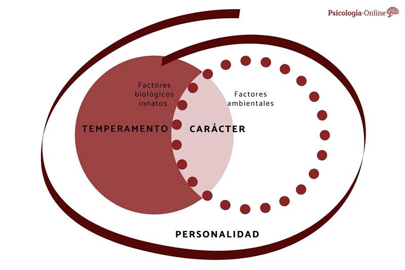 Diferencia entre temperamento, carácter y personalidad