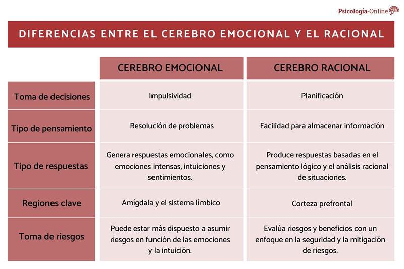 Unterschiede zwischen emotionalem und rationalem Gehirn