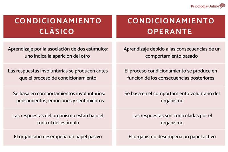 Diferencias entre el condicionamiento clásico y operante