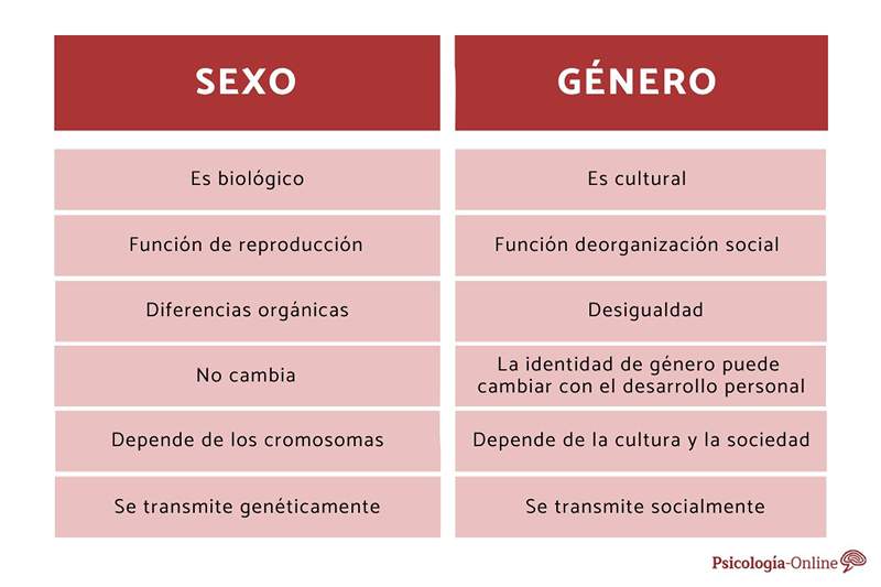 Diferencias entre sexo y género