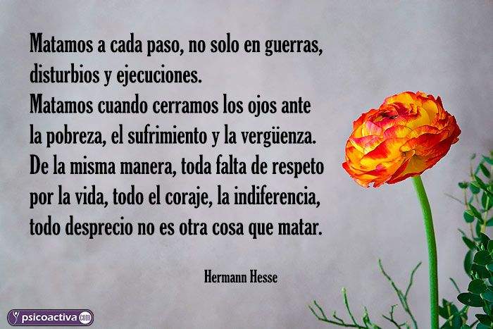 60 inspirerende setninger av Hermann Hesse