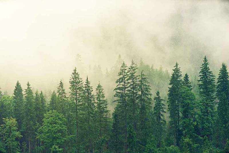 Natureza e ambiente o efeito em nosso poço -ser