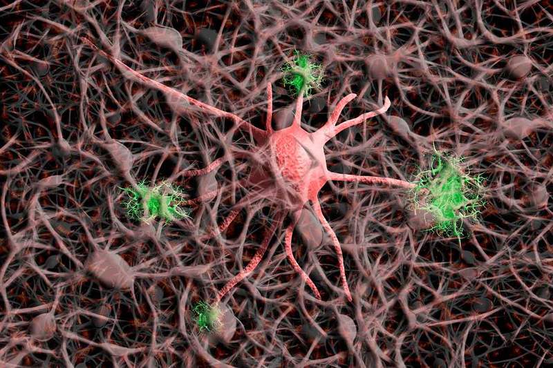 Teoria hebbiana da plasticidade neuronal