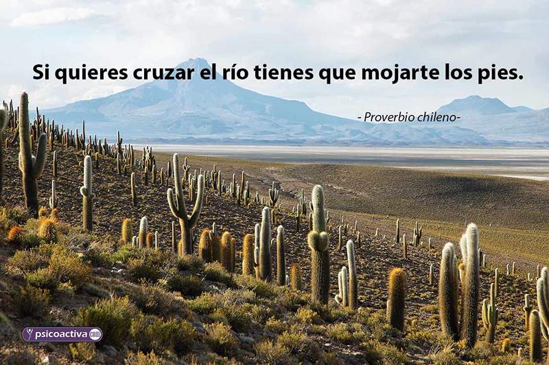 Provérbios chilenos