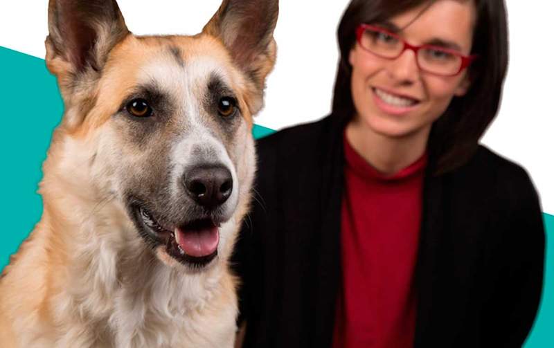 Verónica Soler i prednosti potpomognute terapije s psima