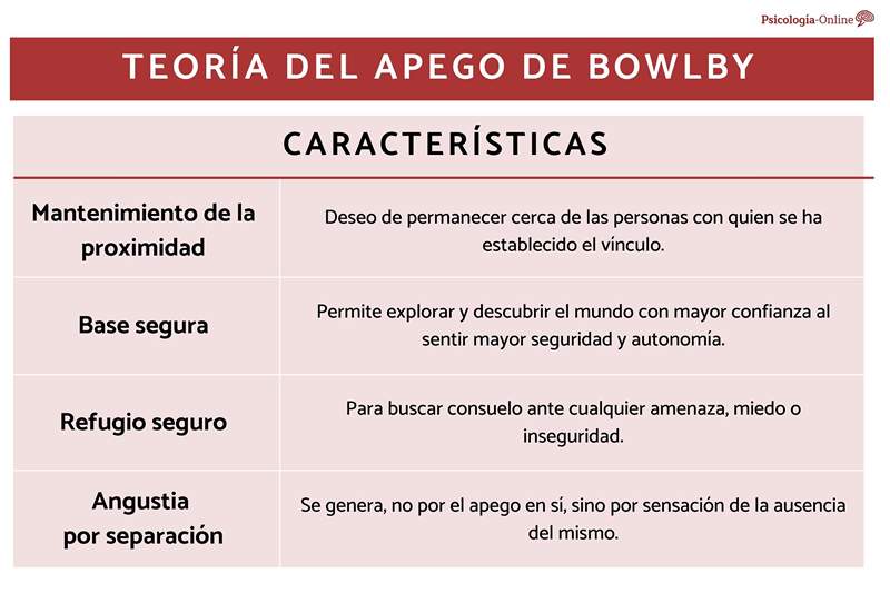 Teoría de Bowlby sobre el apego qué es, etapas y características