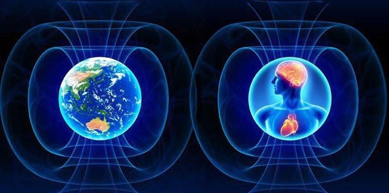 Terapi medan magnet yang ditekan atau magnetoterapi