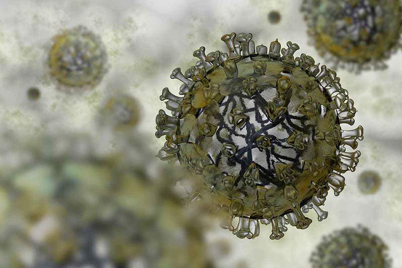 Koronavirus i kolektivna panika